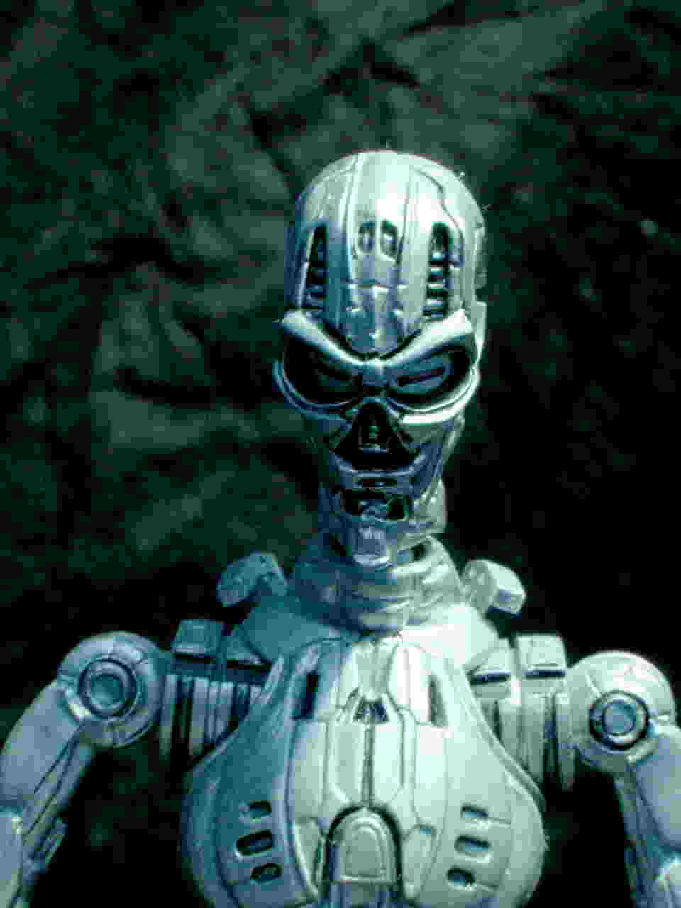 T-X model picture